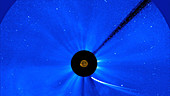 Comet ISON, SOHO clip