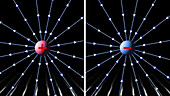 Electric field between point charges