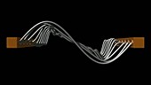 Vibrating string, square wave harmonics