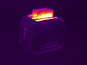 Timelapse thermography of a toaster