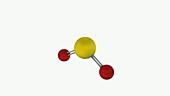 Bent molecule SO2