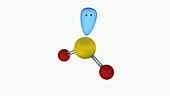 Bent molecule SO2