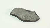 Toluca meteorite fragment