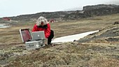 Botanist in Greenland