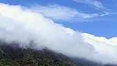 Mountain clouds, timelapse