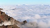 Sea of clouds, timelapse