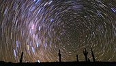 Star trails over cacti