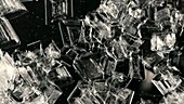 Sodium thiosulfate crystals growing