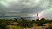 Thunderstorm, Arizona, USA