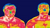 Two men in bed, thermogram footage