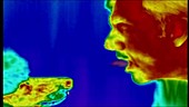 Breath cancer analysis, thermogram footage