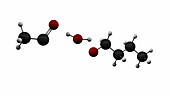 Formation of ester molecule