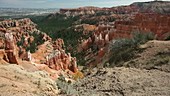 Hoodoos in Bryce Canyon