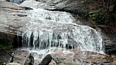 Mountain stream in Appalachians