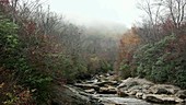 Mountain stream in Appalachians