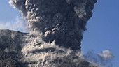 Sakurajima volcano erupting