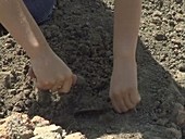 Archaeologist using trowel