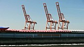Cranes in a harbour