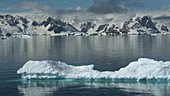 Icebergs and Antarctic coast