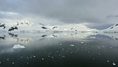 Antarctic coast