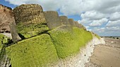 Smashed concrete sea defences