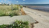 Collapsed coastal road