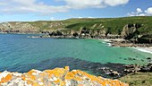 Porth Glaze Cove