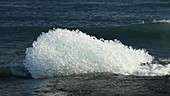 Icebergs washed ashore