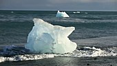 Icebergs washed ashore