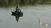 Coracle fishing