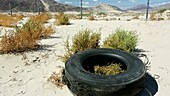Tyres dumped in the desert