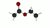 Ethyl ethanoate molecule