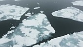 Rotten sea ice