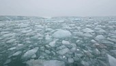 Rotten sea ice