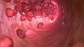 Red blood cells in blood vessel, animation