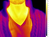 Zipping up a cardigan, thermogram footage