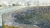 Water droplets in fountain