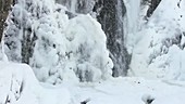 Waterfall icicles
