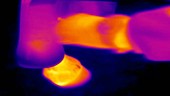 Thermographic of horse's leg