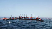 Traditional tuna fishing, Spain