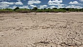 Farmland drying after flooding, Malawi