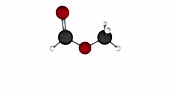 Methyl methanoate molecule