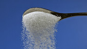 Sugar falling from spoon, high-speed
