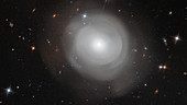 Zooming in on galaxy ESO 381-12
