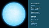 Regulus main sequence star, animation