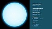 Crab Pulsar neutron star, animation