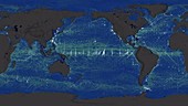 Drifting ocean garbage, global simulation