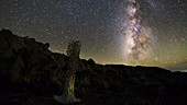 Stars over Haleakala