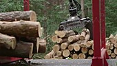 Logs being lifted