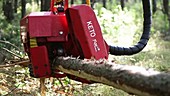 Tree cutting machine